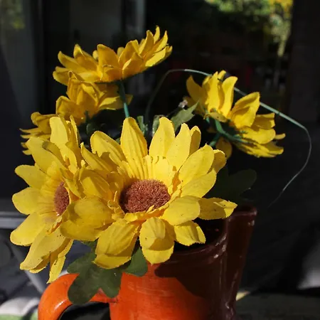 Casa de Férias La Casetta *